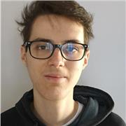 Docente/diplomato umanistico offre lezioni private in smart working dal lunedì a venerdì1 ora=5 ,2 ore=10